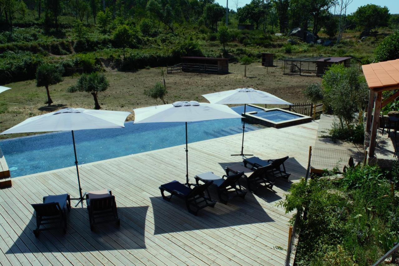 Quinta Castanheira Apartment Santa Comba Dao Bagian luar foto