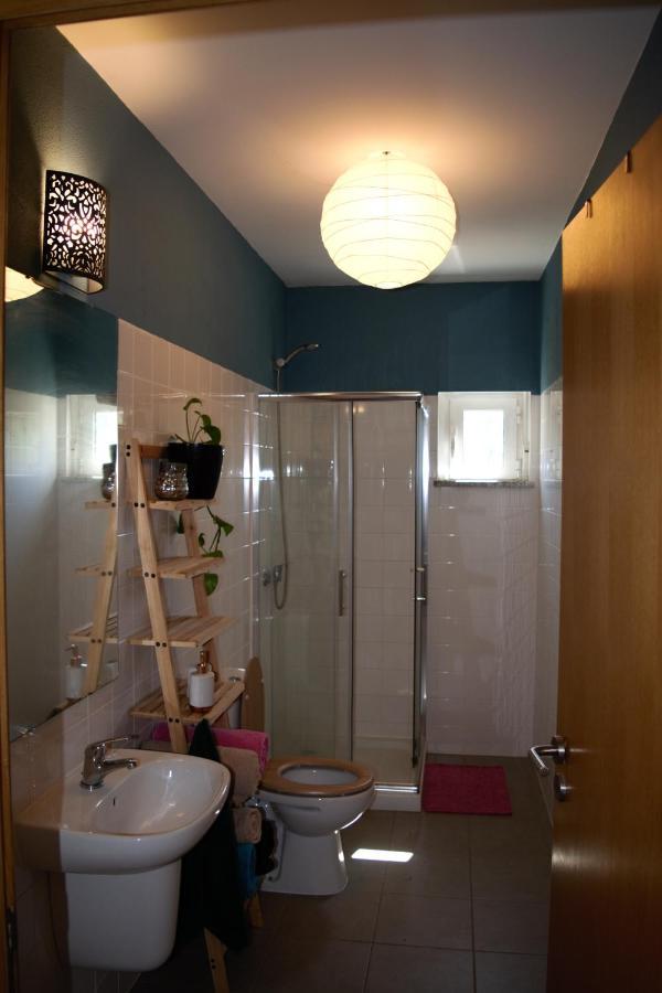 Quinta Castanheira Apartment Santa Comba Dao Bagian luar foto