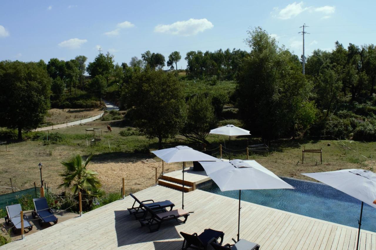 Quinta Castanheira Apartment Santa Comba Dao Bagian luar foto